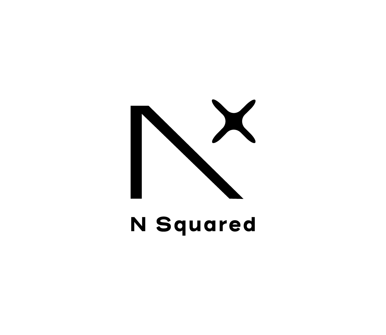 N Squared Logo